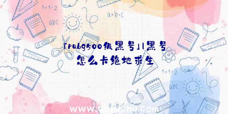 「pubg500级黑号」|黑号怎么卡绝地求生